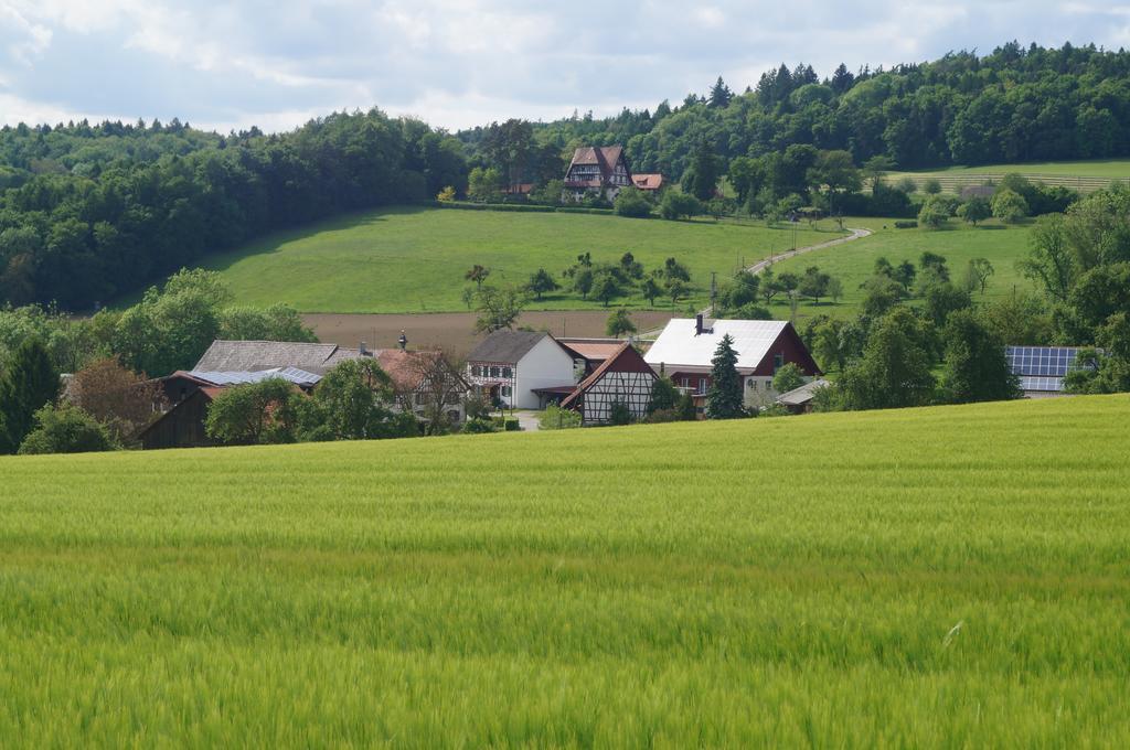 Hemishofen Bolderhof 빌라 외부 사진